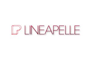 Fiera Lineapelle Milano 25-27 Febbraio 2015